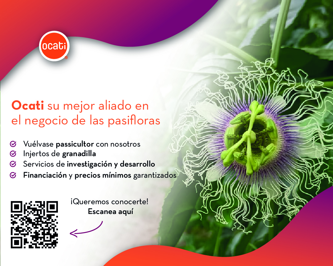 Imagen 2 Móvil
