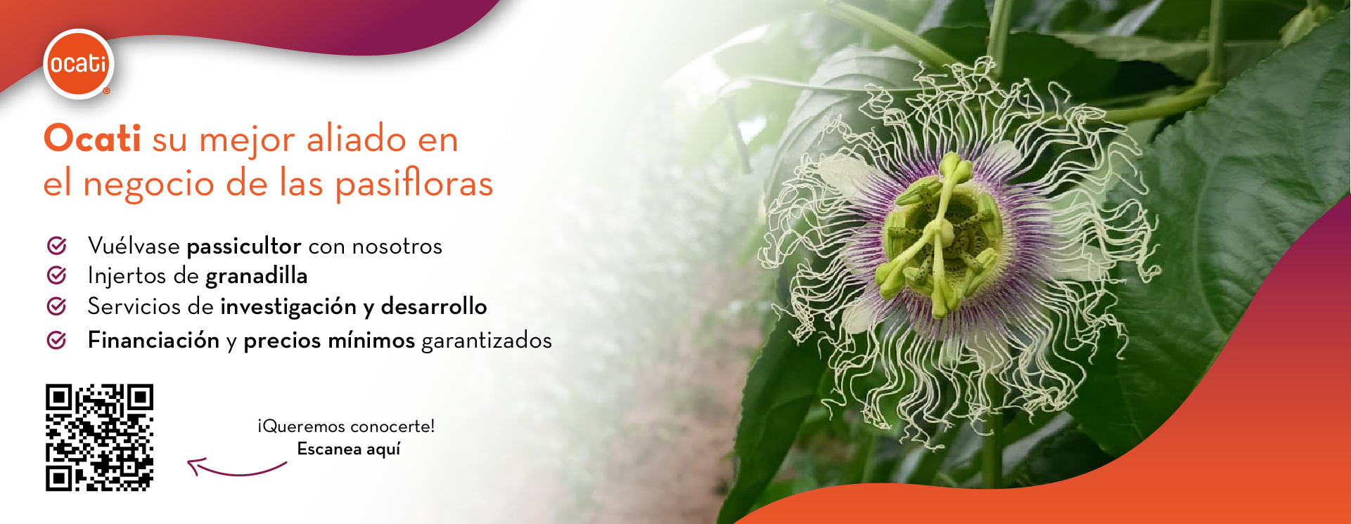 Imagen 2 PC